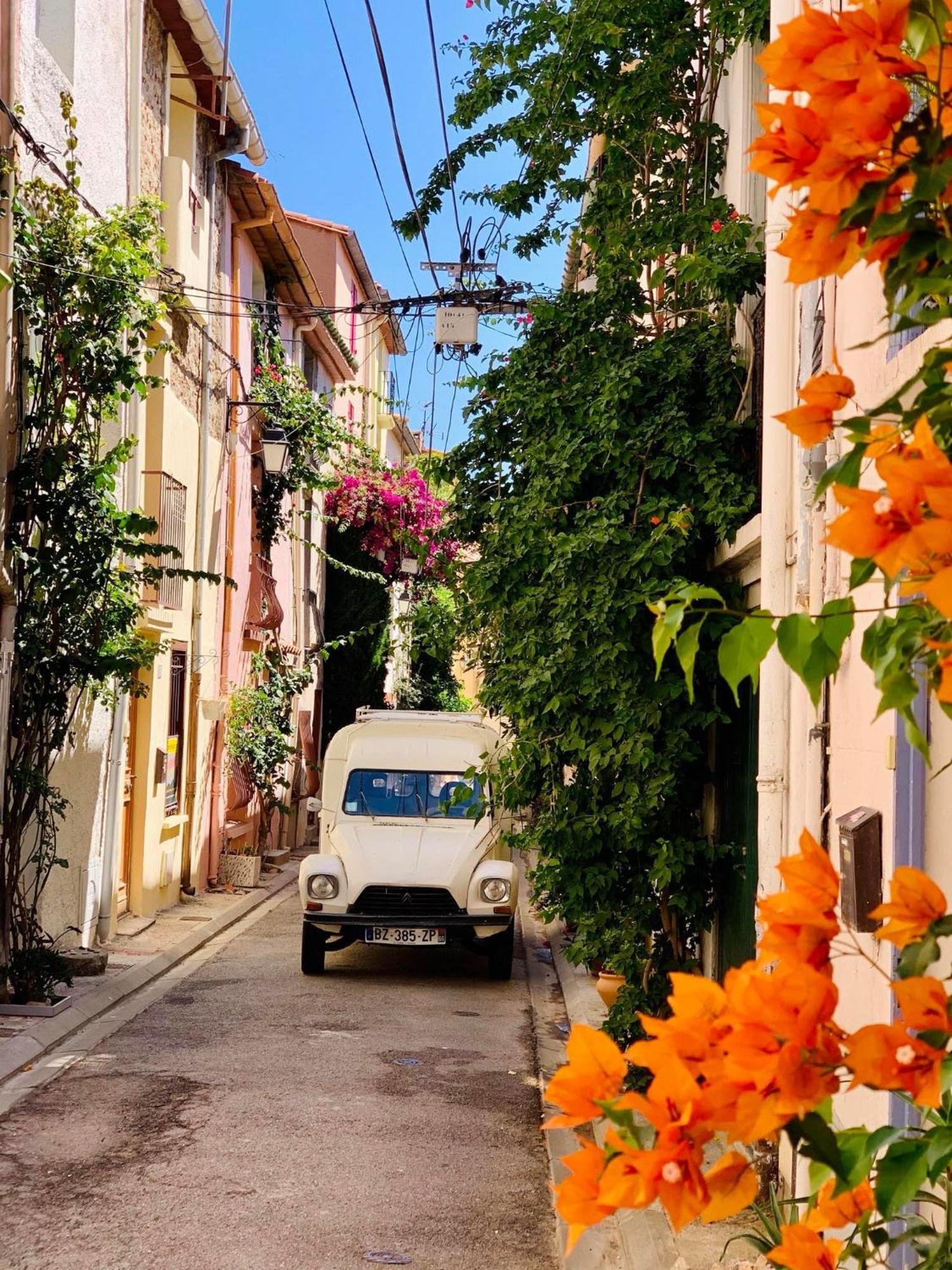 Maison Historique Rue Vermeille Argeles Sur Mer Luaran gambar
